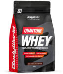 BodyWorld Quantum Whey 908 g, ciocolată bogată