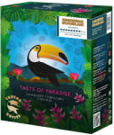 Coffee66 Gingerbread Wonderland - NESPRESSO® kompatibilis TOUCAN kávékapszula, 20 db