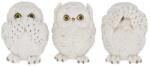 Nemesis Now Set de statuete Nemesis Now Adult: Gothic - Three Wise Owls, 8 cm (U2549G6) Figurina
