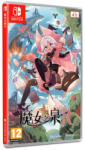 PM Studios WitchSpring R (Switch)