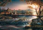 Schmidt Spiele - Puzzle Redlin: Un ochi atent asupra naturii - 1 000 piese Puzzle