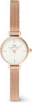 Daniel Wellington DW00100744 Ceas