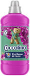 Coccolino öblitő koncentrátum Snapdragon & Patchouli - 51 mosás 1275ml
