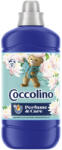 Coccolino öblitő koncentrátum Water Lily & Pink Grapefruit - 51 mosás 1275ml