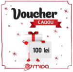  Generic Voucher cadou 100 RON (VCR-100)