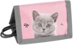 Paso Portofel cu șiret Paso Cat (PP24CT-002)