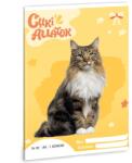 Ars Una Ars Una: Cuki állatok - Norvég macska 2. osztályos vonalas füzet A/5 (53594297)