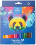 ICO ICO: Koh-I-Noor 3145 Hatszögletű színes ceruza medvés dobozban 36 darabos (7140145002-363071) - innotechshop