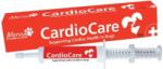Mervue CardioCare pastă de sprijinire sănătate cardiacă la câini 30 ml