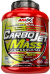 Amix Nutrition CarboJet Mass Professional 3000 g, ciocolată