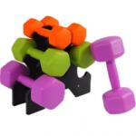 FitTronic Set gantere cu suport FitTronic 12 Kg (HGR2X123)