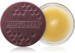 Burt's Bees Lip Treatment tratament de noapte intensiv de buze 7.08 g