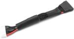 Revtec Конверсионен балансиращ кабел 6s-xh - 6s-eh 22awg 10см