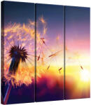  Háromrészes Vászonkép - Pitypang Napnyugta - 100x90 cm