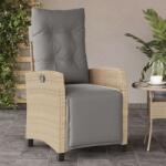 vidaXL Polyrattan Dönthető Kerti Szék - Bézs (365237)