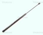 TRISCAN Amortizor capota TRISCAN 8710 17101 (8710 17101) - automobilus