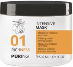 Pauco Masca Pentru Par Uscat Puring Richness 500 ml