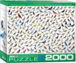 EUROGRAPHICS - Puzzle The World of Birds, by David Sibley - 2 000 piese