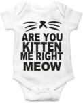 printfashion Cicózol velem? meoww - Baba Body - Fehér (2234981)