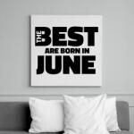 printfashion The Best are born in june - Vászonkép - Fehér (6638215)