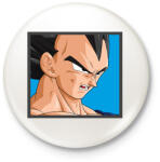 printfashion Dragon ball karakterek1 - Kitűző, hűtőmágnes - Fehér (12591153)