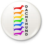 printfashion Rainbow dachshund - Kitűző, hűtőmágnes - Fehér (13416299)