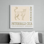 printfashion Büszke cica tulajdonos - Peterbald - Vászonkép - Fehér (6640760)