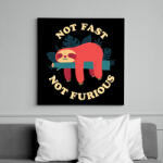 printfashion No fast not furious - Vászonkép - Fekete (6650549)
