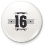 printfashion b-day-16-dark-lightgrey - Kitűző, hűtőmágnes - Fehér (3076367)