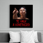 printfashion Bloodsport - Chong Li - Vászonkép - Fekete (16751508)