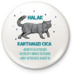 printfashion Halak - Karthauzi cica - Kitűző, hűtőmágnes - Fehér (13339904)