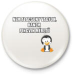 printfashion Pingvin - Kitűző, hűtőmágnes - Fehér (13851379)