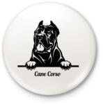 printfashion Cane Corso - Kitűző, hűtőmágnes - Fehér (5119794)