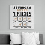 printfashion Boxer tricks - Vászonkép - Fehér (6623554)