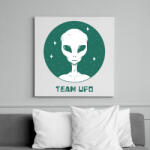 printfashion Team UFO - Vászonkép - Fehér (7335589)