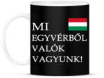 printfashion Mi egyvérből valók vagyunk! - Bögre - Fekete (4998251)