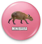 printfashion Capybara család - Minibara - Kitűző, hűtőmágnes - Rózsaszín (13855182)