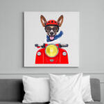 printfashion Biker Dog - Vászonkép - Fehér (6625475)