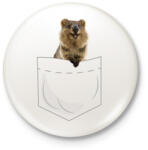 printfashion Quokka zsebben - Kitűző, hűtőmágnes - Fehér (13949263)