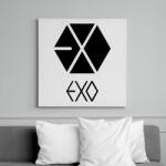 printfashion exo logo - Vászonkép - Fehér (6632162)