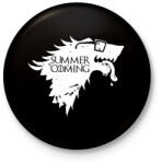 printfashion Summer is Coming white - Kitűző, hűtőmágnes - Fekete (3097355)