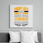 printfashion Profi ács vagyok - Vászonkép - Fehér (9900585)