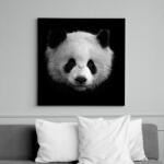 printfashion panda (fekete-fehér újság) - Vászonkép - Fekete (14447805)