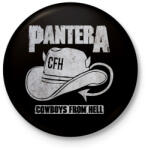 printfashion Pantera - Kitűző, hűtőmágnes - Fekete (3096290)