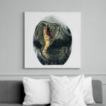 printfashion Mérgeskígyó grafika - Vászonkép - Fehér (6636707)