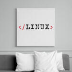 printfashion Linux parancssor - Vászonkép - Fehér (6633672)
