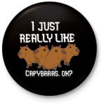 printfashion Capybara - Kitűző, hűtőmágnes - Fekete (13680472)