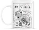 printfashion Capybara anatómia - Bögre - Fehér (13607022)