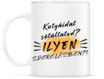 printfashion Kutyáidat sétáltatod? - Bögre - Fehér (5377495)