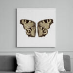 printfashion Lepkeszárny - Vászonkép - Fehér (15470301)